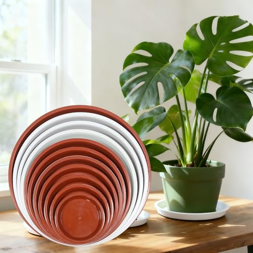 6 Pack 12 Inch White Plant Saucers Plastic Drip Trays for Pots - color: White, size: 12 Inch