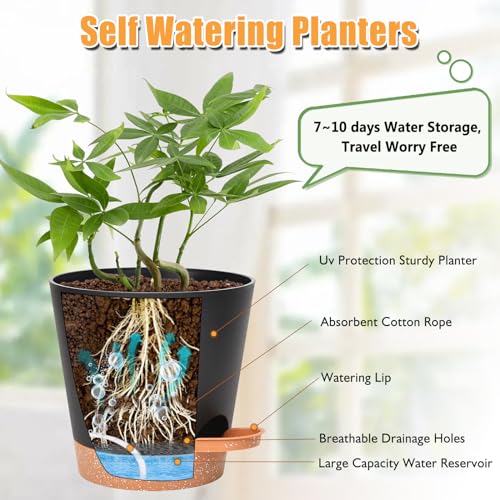 Vanslogreen Planters for Indoor Plants 7/6.5/6/5.5/5 Inch, Self Watering Flower Pots with Drainage Holes and Saucers 5 Pack Plastic Pots for Plants, Succulents, Herbs, Cactus, Flower, Black - color: Black-pack of 5, size: 5PCS|7+6.5+6+5.5+5