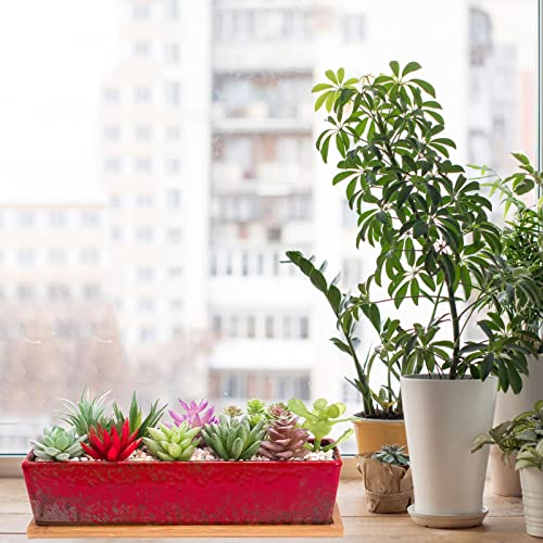 Succulent Pots, 12'' Large Long Rectangle Succulent Planter Pots with Drain - color: Red