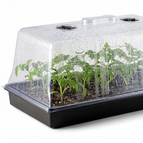 10x20 Humidity Dome with Plant Propagation Trays - 1 Pack Clone - size: 1 Tray + 1 Dome