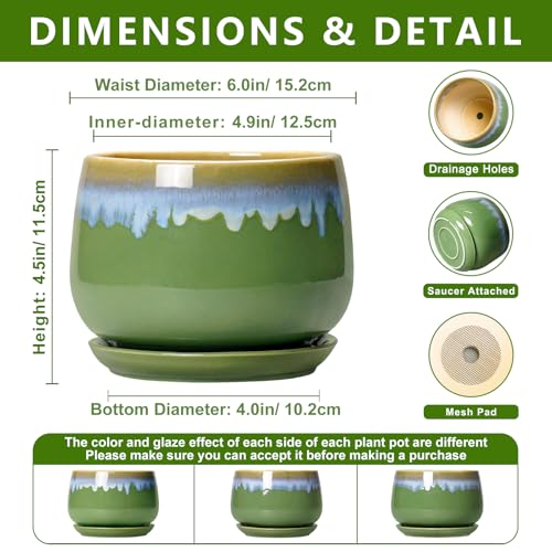 Ceramic Planter 6 Inch - Ceramic Pots for Plants with Drainage and Saucer, Decorative Small Succulent Pots for Indoor Plants, Round Plant Pot, House Decor, House Warming Gifts, Green-Blue - size: 6 Inch, style: Green-blue