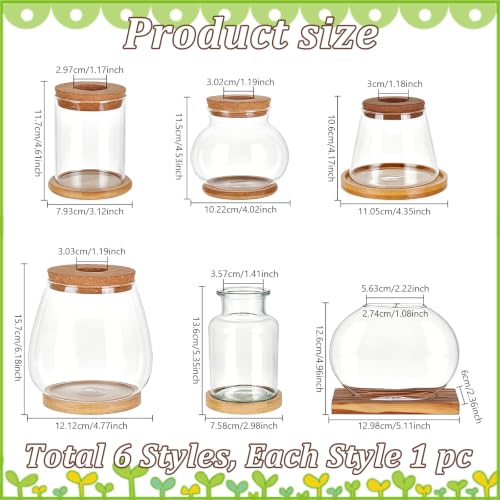6PCS Plants Propagation Stations Glass Propagation Vases Jar, Planter Terrariums with Wooden Lid and Bamboo Stand Desktop, Hydroponic Vase for Plant Growing Home Office Tabletop Decor