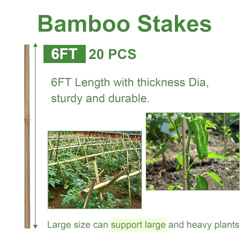 Bamboo Stakes 6FT, Garden Stakes 6 Feet for Plants, 5/8" D Thicker Sturdy Plant Stakes 20pcs for Tomato, Beans, Flowers, Potted and More Climbing Plants - size: 6FT, pack of 20