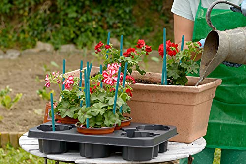 Plant Stakes 25Pcs,15IN Green Bamboo Sticks With25 Green Ties,Orchid Sticks - color: Green, size: 15 Inch 25Pack