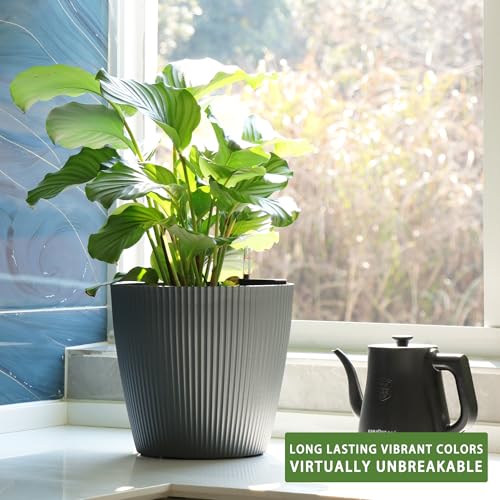 Dexceder 11x10 Self Watering Planters Indoor (2 Pack, Gray) - color: Gray, size: 11x10