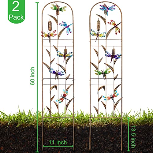 2 Pack Metal Garden Trellis for Climbing Plants - color: Dragonfly