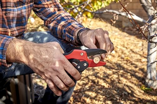Corona Tools Ratchet Hand Pruner – 3/4-Inch Cut Capacity Garden Pruning Shears for Stems & Branches, Heavy-Duty Ratcheting Hand Pruners with Comfortable Grip