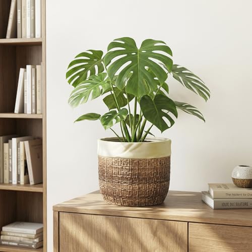 Ceramic Pots for Plants, 8 Inch Plant Pot, Round Planters, Brown - color: Brown, size: 8 Inch