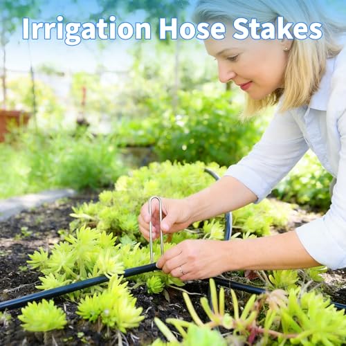 MySit 80 Pack 4 Inch Garden Stakes Galvanized Drip Irrigation Stakes