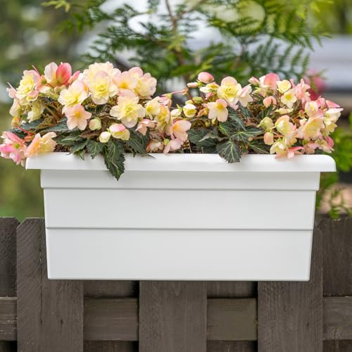 Root & Vessel Countryside Railing Planter Box, 24 Inch, White - color: White, size: 24 Inch