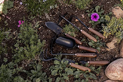 Barebones Garden Scoop - Garden Spoon - Stainless Steel Small Hand Shovel for Transplanting, Digging, and Planting - Great Home Gardening Hand Tools (Walnut/Black) - color: Walnut/Black, size: Garden Scoop