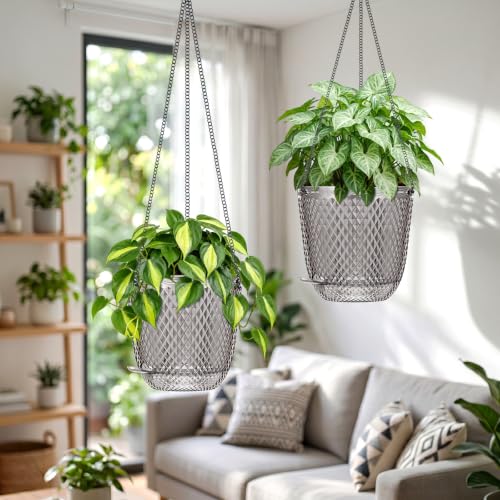 QCQHDU 5.7 Inch 2 Pack Small Hanging Planters for Indoor Outdoor Plants,Self Watering Flower Pots Hanging Basket Plant Hanger with Drainage Holes and 3 Hooks for Window Porch Garden Balcony, (Grey) - color: Gray, size: 5.7"+5.7"