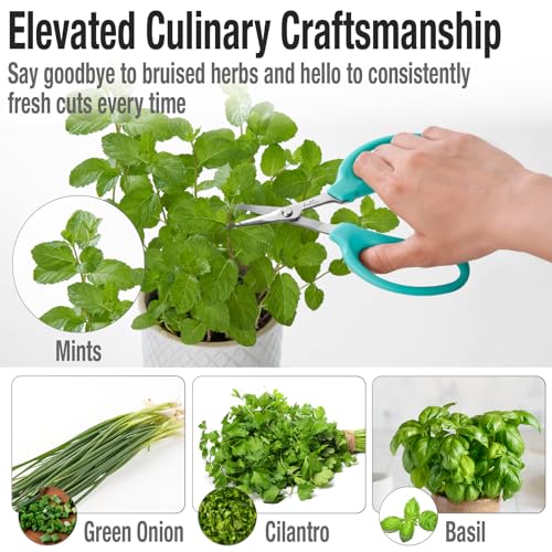 Beaditive Culinary Herb Scissors - Compact 6.5-Inch Stainless Steel Kitchen Scissors - Dishwasher Safe - Sharp Tip for Snipping Fresh Herbs