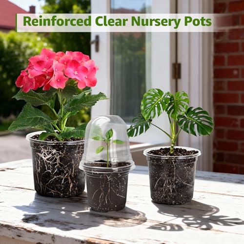 MIXC Clear Nursery Pots with Drainage Holes and Saucers, 12Inch, 12Pack - size: 12 Inch-12 Pack