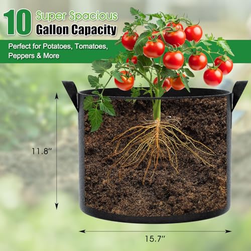 FEED GARDEN 10 Gallon Grow Bags – 4 Pack Heavy Duty Nonwoven Fabric Pots for Vegetables, Tomatoes, Herbs – Breathable Reusable Plant Containers for Indoor & Outdoor Gardening - size: 10 Gallon