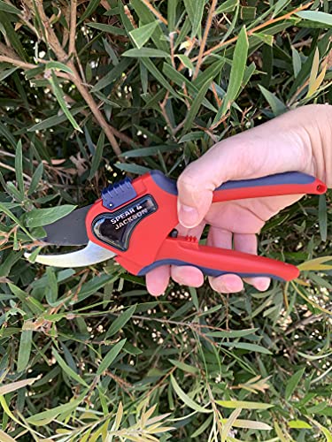 Spear & Jackson 6057BS Razorsharp Advantage Small Bypass Pruning Shears - style: Small Bypass