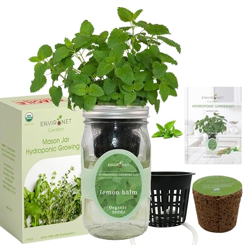 Hydroponic Herb Growing Kit, Self-Watering Mason Jar Herb Garden Starter Kit Indoor, Windowsill Herbs Garden, Grow Your Own Herbs from Organic Seeds (Lemon Balm)