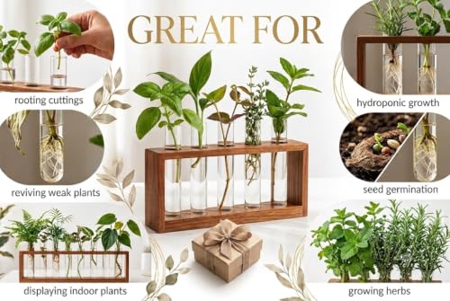 Wooden Plant Propagation Station Stand with Four Glass Test Tubes Indoor Desktop Terrarium for Hydroponics Water Plant Cutting Flower Vase Planter Home Office Garden Decor Plant Lover Gifts, Brown