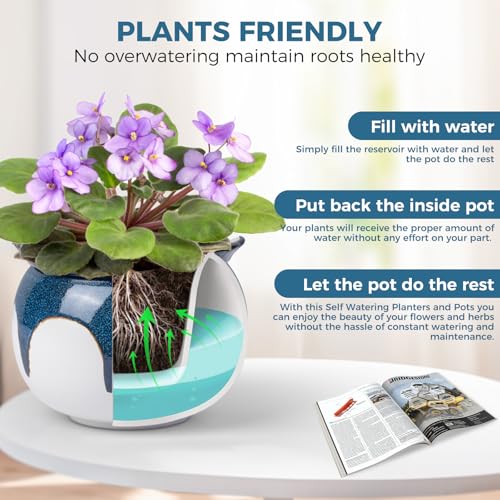 BUYMAX African Violet Pots, 6 inch Ceramic Easy Self Watering Plant Pot for Busy Plant Lovers, Automatically Absorb Appropriate Amount of Water, Flower Pot Indoor-Plants Not Included(Blue) - color: White-blue