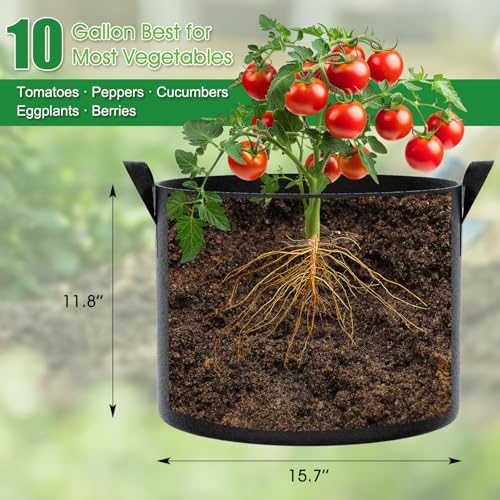 FEED GARDEN 10 Gallon Grow Bags 8 Pack – 300G Thickened Fabric Plant Pots with Reinforced Handles, Breathable Drainage Planters for Vegetables, Tomatoes, Herbs, Indoor & Outdoor Gardening - size: 10 Gallon