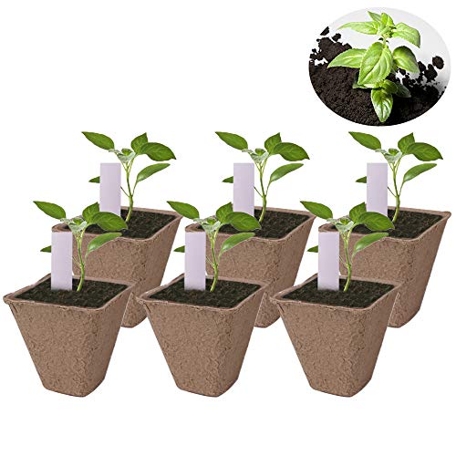200 Pack 3.15" Square Biodegradable Peat Pots Plant Nursery Pots - size: Square(8cm) 200pack