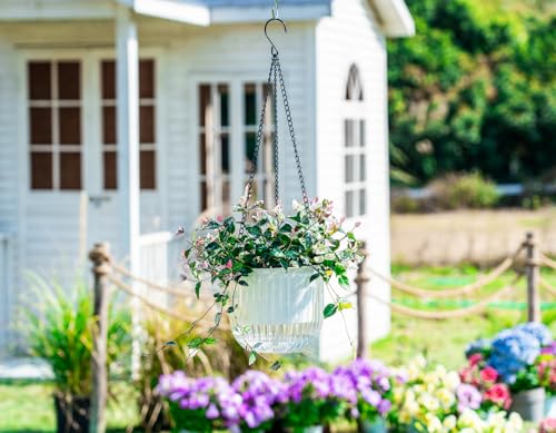 Melphoe 2 Pack Self Watering Hanging Planters Indoor Flower Pots, 6.5 Inch Outdoor Hanging Plant Pot Basket, Plant Hanger with 3Hooks Drainage Holes for Garden Home - color: White, size: 6.5''+6.5''