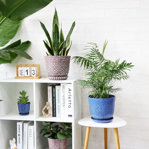 Gepege 8 Inch Ceramic Plant Pot with Drainage & Saucer - color: Clay+white, size: 8 Inch