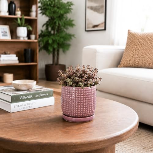 D'vine Dev Beaded Ceramic Pot with Saucer, 4 in, Blush Mauve, 27-C-Z-K - color: Blush Mauve, size: 4.3 Inch