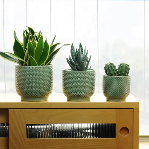 4 + 5 + 6 Inch Ceramic Pots for Indoor Plants, Succulents Plant Pots, Orchid Flower Pot with Drainage Hole, Modern Clay Stoneware Planters, Set of 3 (Green, 4+5+6 Inch) - color: Green