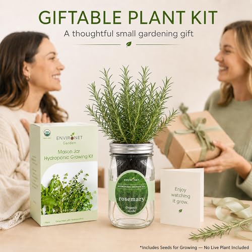 Hydroponic Herb Growing Kit, Self-Watering Mason Jar Herb Garden Starter Kit Indoor, Windowsill Herbs Garden, Grow Your Own Herbs from Organic Seeds (Rosemary)
