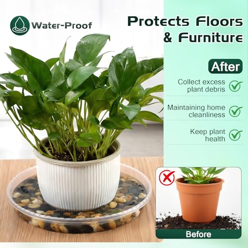 5 Pack 7 Inch Clear Plant Saucers, Plastic Plant Trays for Flower Pots Plant Drip Water Catcher Tray Indoors Outdoor (7 Inch) - size: 7 Inch
