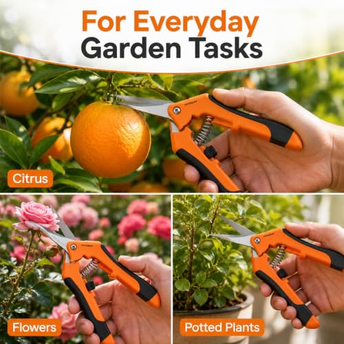 Gardening shears with straight stainless steel trimmers for trimming orange