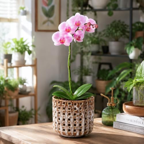 D'vine Dev 4.5 Inch Ceramic Orchid Planter with Lattice Cutout Design, Glazed Cachepot with Clear Nursery Pot & Detachable Saucer for Orchids and Indoor Plants, Stone Taupe, 28-A-Z-7 - color: Stone Taupe, size: 4.5"