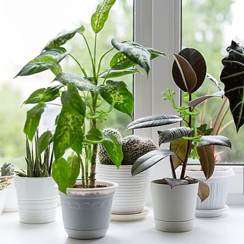 4PCS Frog Plant Stands Clips for Support Plant Stem Holder Cute Frog Clips for Indoor Outdoor Garden