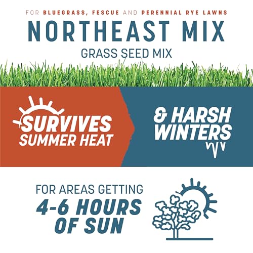 Pennington Smart Seed Northeast Mix 20lb, Grass Seeds for Lawn - size: 20 lb