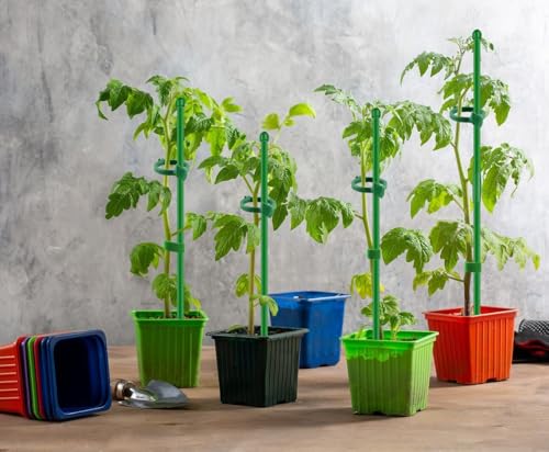 10Pcs Plant Support Stakes 17inch &11inch,Toylin Adjustable Length Plant Support Stake Orchid Stick with Clips for Indoor Outdoor,Garden Pole for Potted Orchid Tomato Vegetables