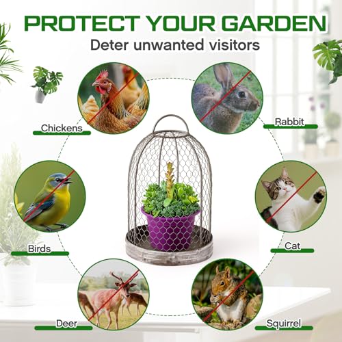 Briwooody 2 Pack Rustic French Wire Mesh Cloche with Base 17'' 20'' Garden Cloches for Plants Large Plant Protection Guards Cover Keep Small Animals Out