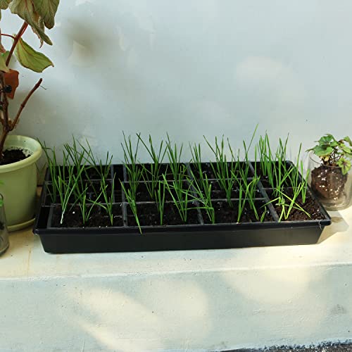 Gardzen 10 Pack Seed Trays Reusable Plant Grow Trays No Drain Holes - size: 21L x 11W x 2.4H