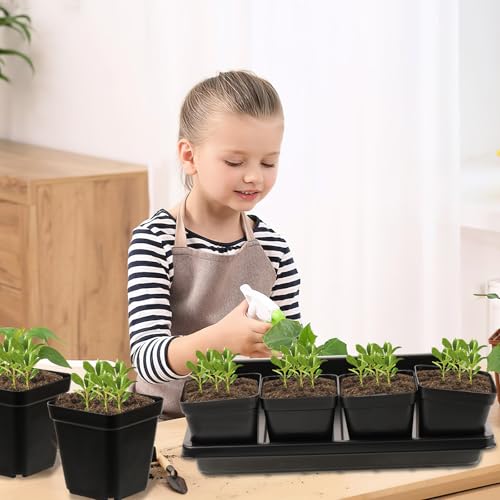 CIEOVO 2.4 inch 80 Pcs Square Nursery Pots with Drain Holes and 5 Pcs Plastic Plant Growing Trays, Seed Starter Kit Propagation Tray Seed Starting Pots for Seedling Plant Growing