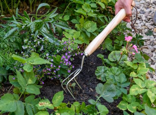 Burgon & Ball Mid-Handled Stainless Steel Claw Cultivator, Wood Grip