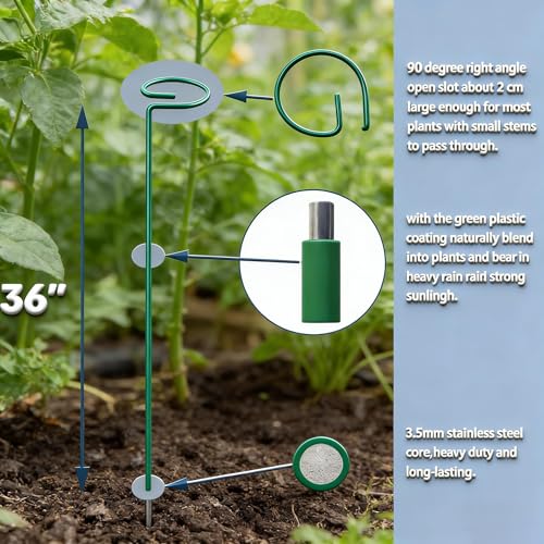 20 Pieces 36 inch Green Single Stem Plant Stakes Flower Support Rings, Gardening Planter Cages for Single Stem Flowers, Amaryllis, Peony, Lily,Narcissus Gladiolus Stakes - color: Green-36-inch 20pack