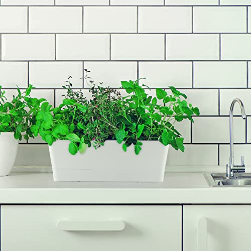 Skelang 3 Pcs Rectangular Plant Pot, 12" Flower Planter Box, Windowsill Container for Succulent, Herb, Vegetable (White) - color: White, size: 12 inches