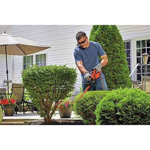 BLACK+DECKER Electric Hedge Trimmer, 17-Inch Corded 3.2 Amp, Dual Action, Reduced Vibration, Cleaner Cut, Lightweight, 3800 Cuts per Min (BEHT150)