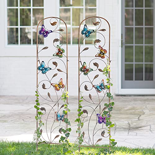 2 Pack Metal Garden Trellis for Climbing Plants - style: Butterfly