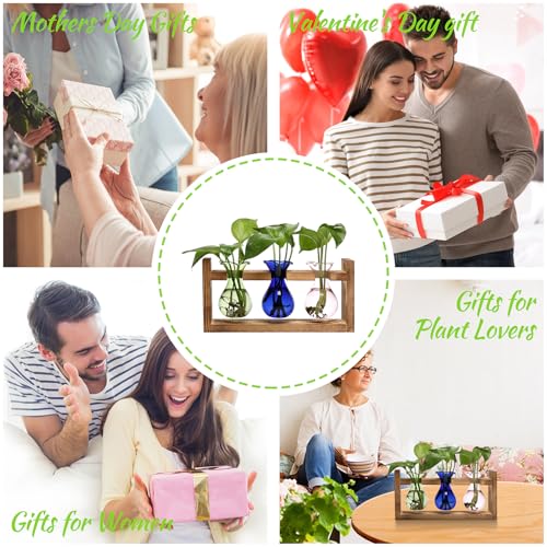 Plant Propagation Station Plant Terrarium Unique Birthday Gifts for Women - color: Color01