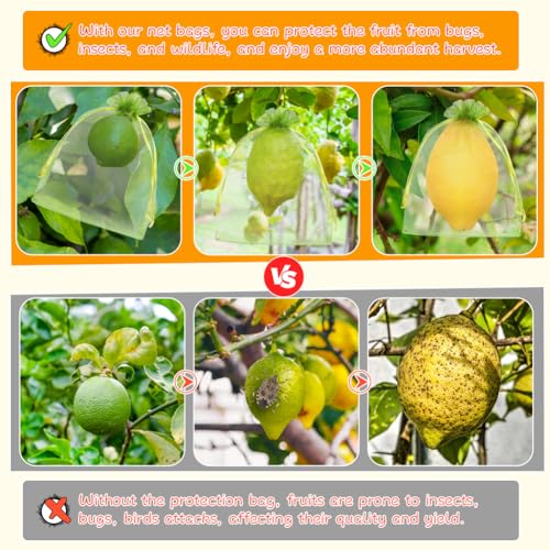 Shintop100Pcs Fruit Protection Bags, 5x7inch Green Strawberry Net Cover - size: 5x7 inch