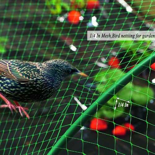 Bird Netting for Garden 6.5X50 FT, 1/4 Inch Mesh, Protect Blueberry, Strawberry, Tomatos, Vegetables. Fruit Tree Netting for Cicadas Against Deers, Squirrels, Bunnies, and Small Critters. - size: 6.5×50FT, 1/4 In Mesh