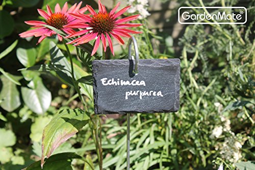 GardenMate 5-Pack Natural Style Slate Plant Labels (4"x 2 3/4") Hanging from a Stainless Steel Metal Rod (17") - size: 5-Pack 4"x 2 3/4" Labels with 17" Metal Rod