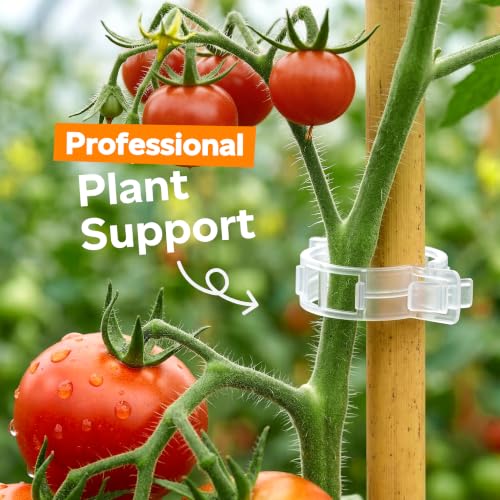 LOOHOI 100Pcs Tomato Clips for Climbing Plants Trellis Plant Support Clips - color: Translucent