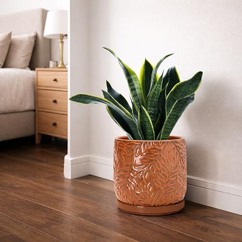 D'vine Dev Embossed Leaves Ceramic Planter, 8 in, Pumpkin, 27-A-Q-J - color: Pumpkin, size: 8 Inch